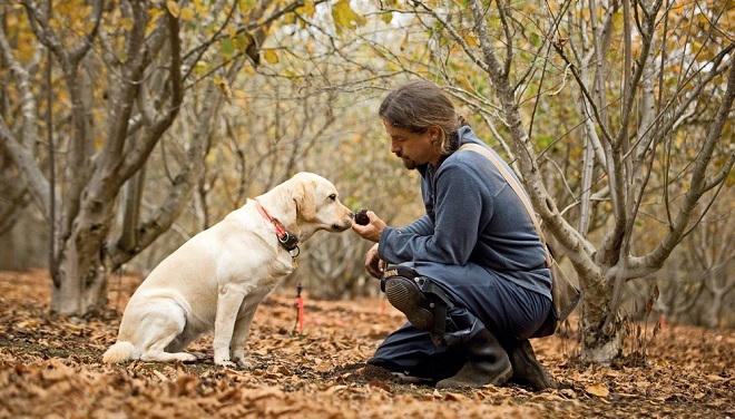 Mùa săn “kim cương đen” dưới lòng đất Địa Trung Hải