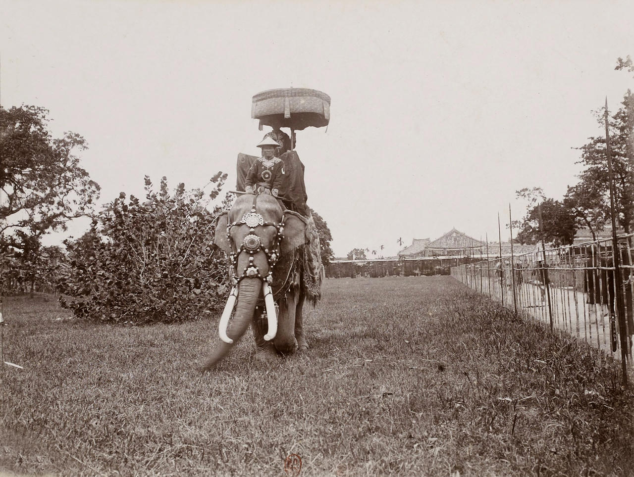 'Bí quyết' thuần hóa voi của người miền Trung 400 năm trước