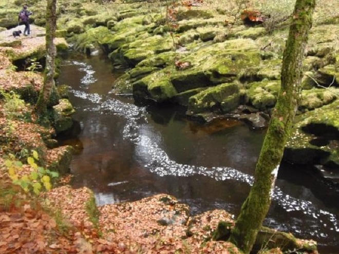 Nhìn tưởng hiền hòa, thế nhưng đây lại là dòng suối 'ăn thịt người' đáng sợ nhất thế giới