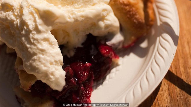 Loài cây bí ẩn sinh trưởng trong thời tiết -40 độ C ở Canada