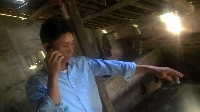 Trâu bò thả rông gây TNGT nghiêm trọng: “Bắc thang lên hỏi ông trời” 