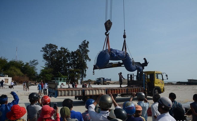 Những điều thú vị về nguồn gốc lễ nghinh ông Vàm Láng