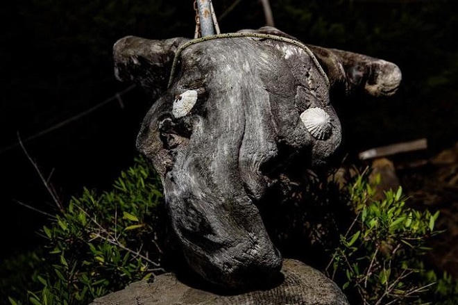 3 thập niên cô độc trên hoang đảo của Robinson ngoài đời thực