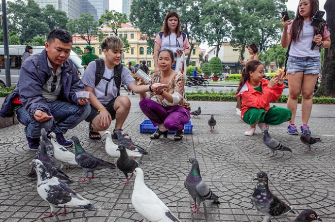 Hơn 700 con bồ câu bay lượn trước nhà thờ Đức Bà