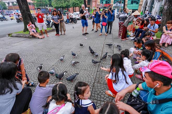 Hơn 700 con bồ câu bay lượn trước nhà thờ Đức Bà