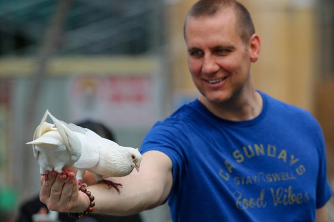 Hơn 700 con bồ câu bay lượn trước nhà thờ Đức Bà