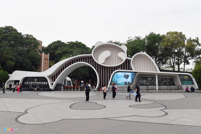 Công viên gấu trúc nổi tiếng ở Tứ Xuyên