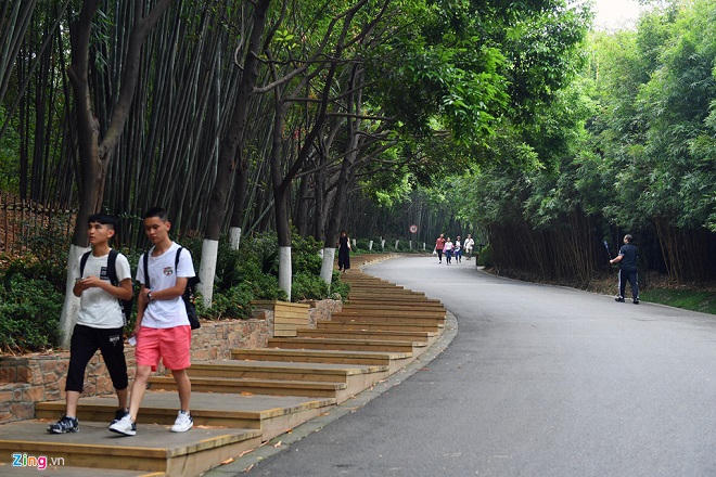 Công viên gấu trúc nổi tiếng ở Tứ Xuyên