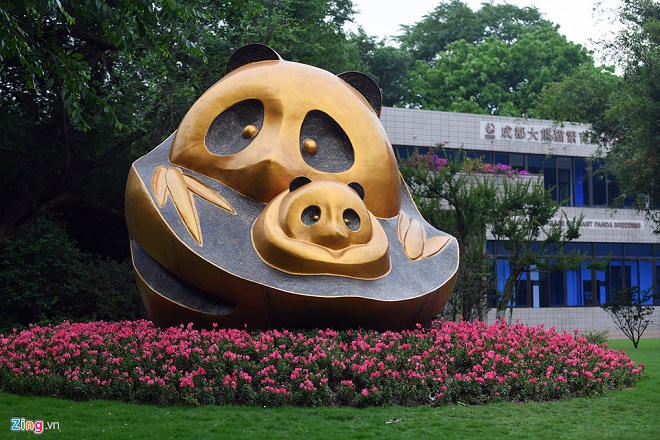 Công viên gấu trúc nổi tiếng ở Tứ Xuyên