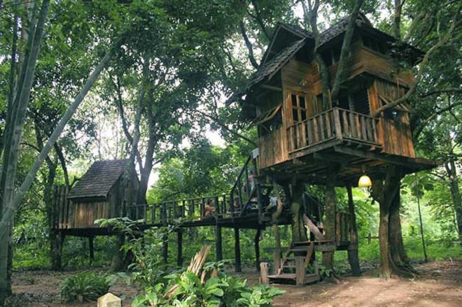 Tận hưởng mùa hè tuyệt vời trên những ngôi nhà trên cây ở Chiang Mai