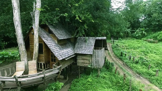 Tận hưởng mùa hè tuyệt vời trên những ngôi nhà trên cây ở Chiang Mai