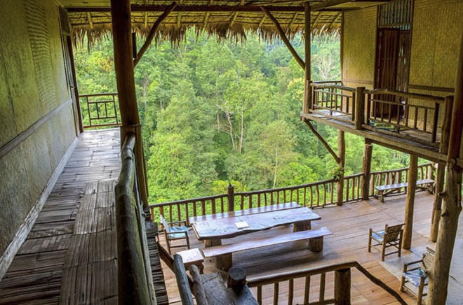 Tận hưởng mùa hè tuyệt vời trên những ngôi nhà trên cây ở Chiang Mai