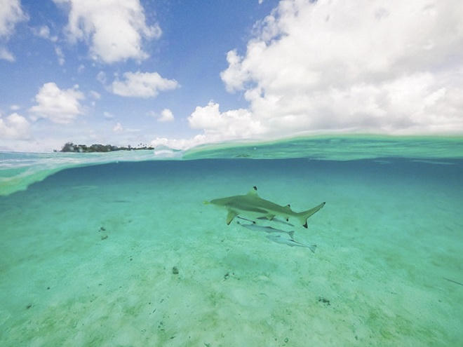 Lạc vào hòn đảo thiên đường nước trong, cát trắng, san hô rực rỡ sắc màu