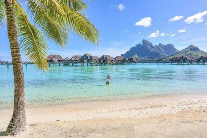 Lạc vào hòn đảo thiên đường nước trong, cát trắng, san hô rực rỡ sắc màu