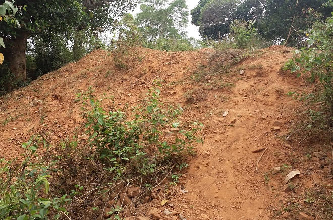 Ly kỳ kho báu đàn gà vàng ở phế tích Bàu Đá