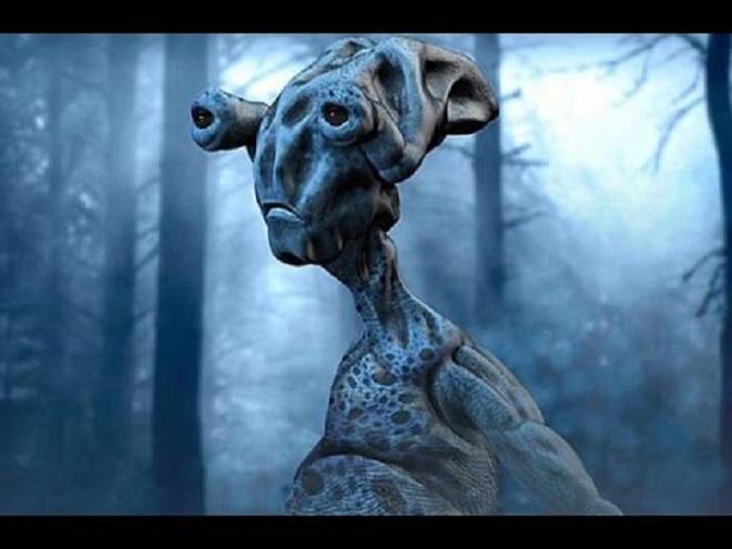 Kỳ lạ chuyện về 'vùng đất câm lặng' ở Mexico