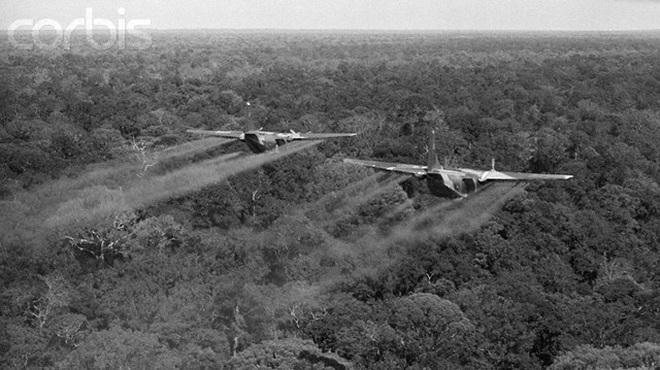 Nhận xét sắc sảo về chiến tranh Việt Nam của một ký giả nước ngoài