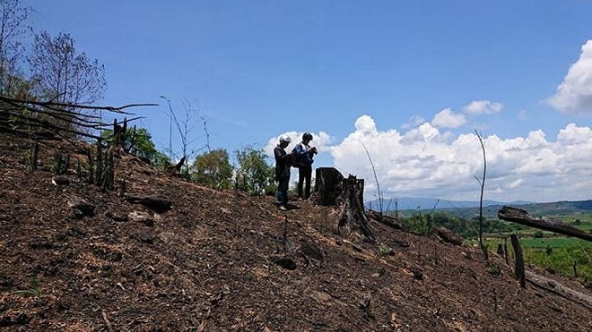 Đắk Lắk: Rừng bị “xẻ thịt”, 4 kiểm lâm nhận kỷ luật