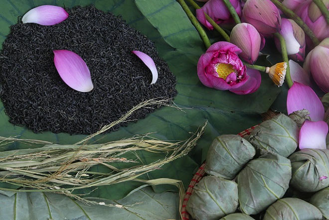 Người Hà Nội hái sen ủ trà