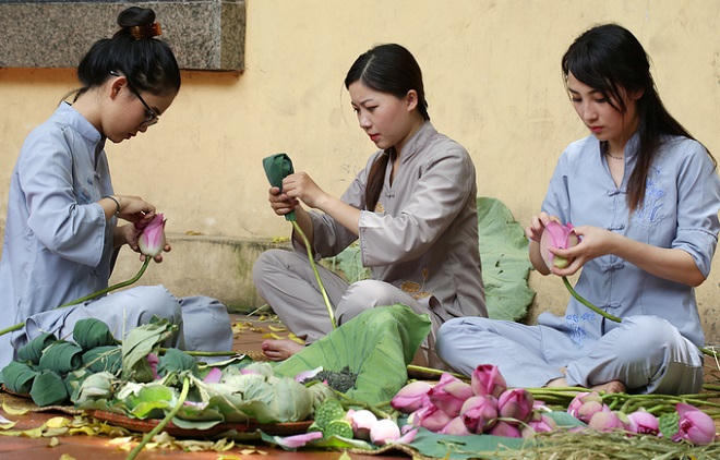 Người Hà Nội hái sen ủ trà