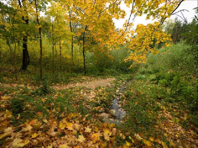 Nơi du khách tới xem World Cup ít dám ghé thăm