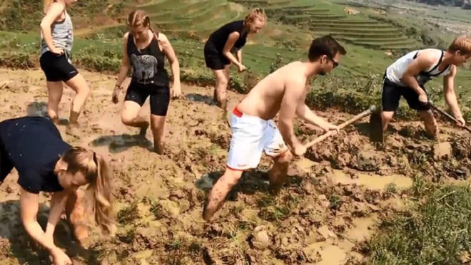 Để khách Tây cuốc đất, cho trâu đi bừa... hướng đi mới của ngành du lịch?