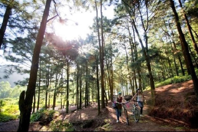 5 điểm mát xanh 'trốn nóng' gần Hà Nội 