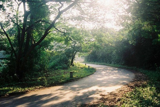 5 điểm mát xanh 'trốn nóng' gần Hà Nội 