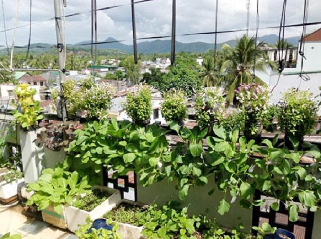 Chôn trứng hỏng với chuối xuống đất, tưởng sai mà ai cũng muốn làm theo