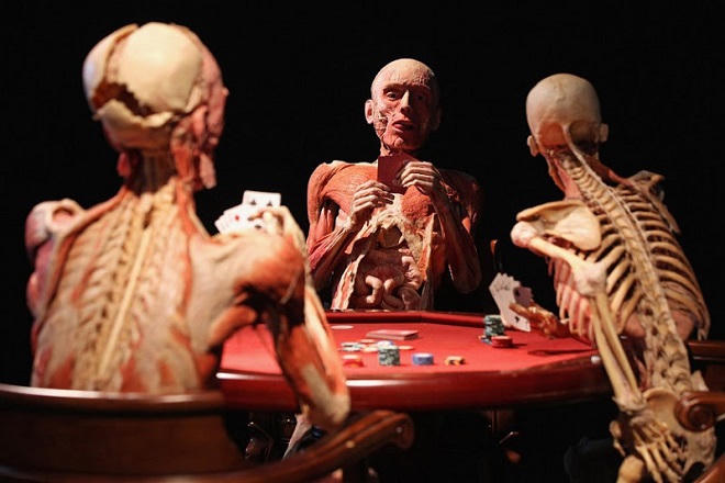 Nhựa hóa cơ thể người: “Phát minh” vĩ đại, hay vô nhân đạo?