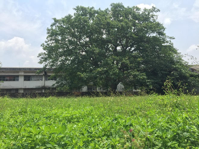 Tội ác động trời trục lợi trên hàng ngàn hài cốt liệt sỹ ở Đồng Nai 