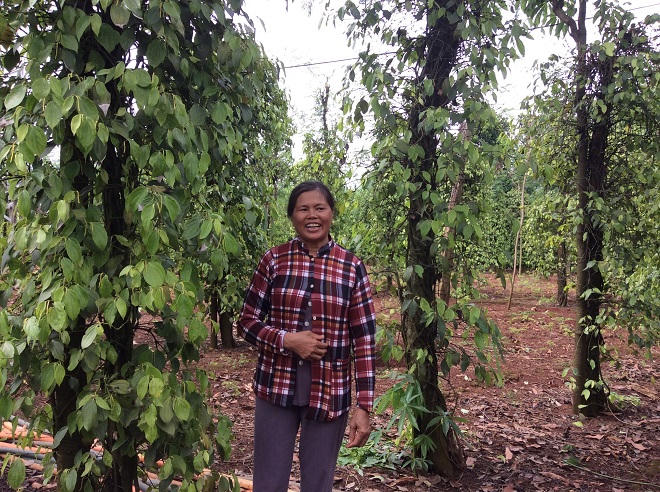 Niềm vui từ những chuồng dê ở Lộc Hiệp