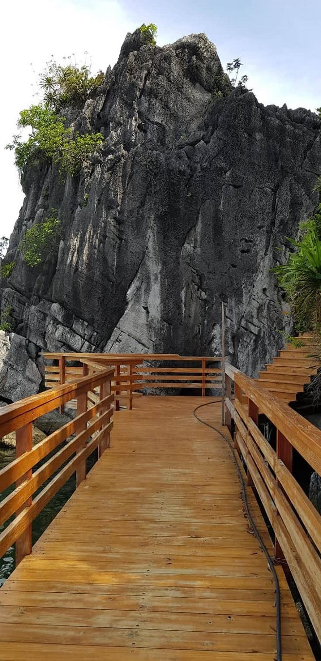 Đảo Soi Sim - điểm nhấn bảo tồn giữa kỳ quan Hạ Long