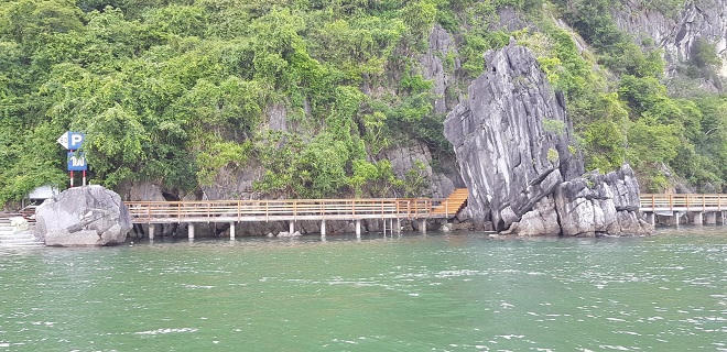 Đảo Soi Sim - điểm nhấn bảo tồn giữa kỳ quan Hạ Long