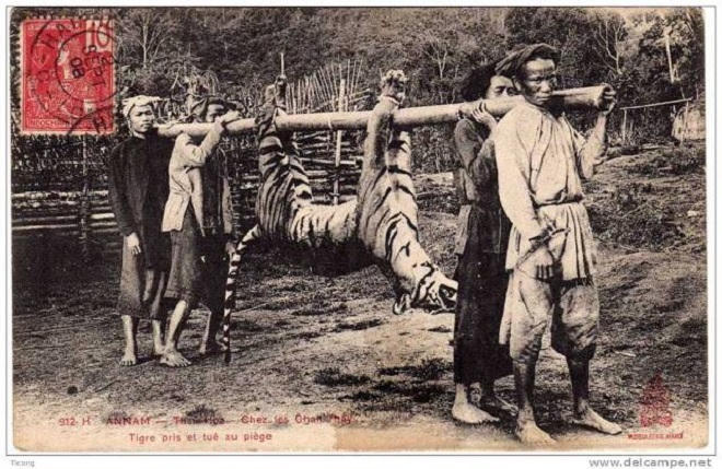 Khánh Hòa thời 'chúa sơn lâm' cai trị'