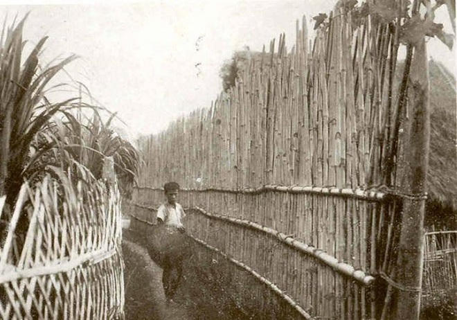 Khánh Hòa thời 'chúa sơn lâm' cai trị'