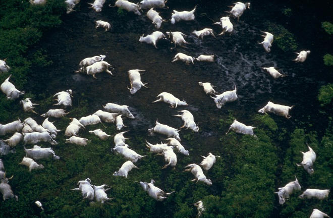 Giải mã bí ẩn về hồ nước cướp mạng hơn 1.700 người sau một đêm