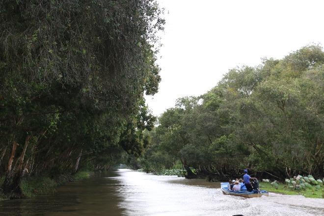 Sao Mai trên thiên đường xanh ngập nước