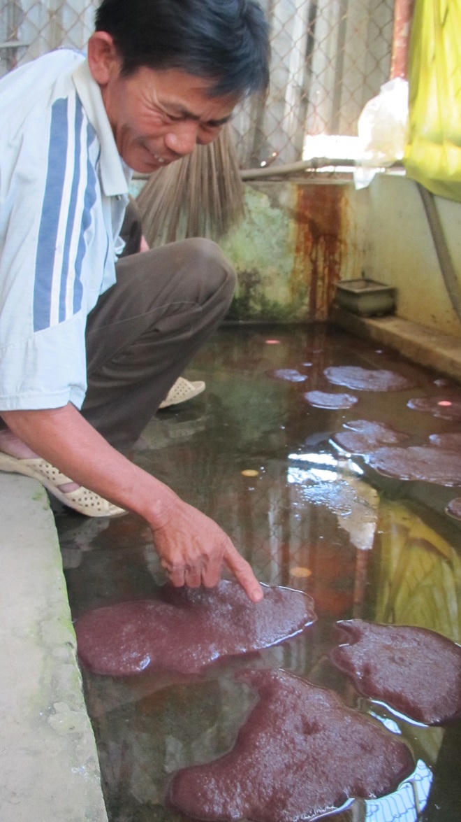 Phận người đãi trùn chỉ