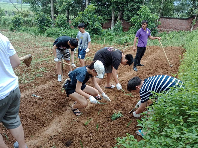 TS Ngô Kiều Oanh, bà chủ Ba Vì Homestead: “Tiến sĩ lội ruộng” phát triển mô hình du lịch đặc biệt