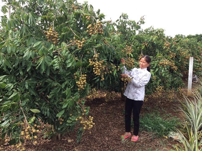 Những người phụ nữ quyết “chia tay” đói nghèo