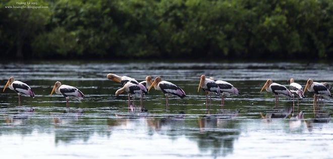 Làm giàu nhờ Vườn Quốc gia Xuân Thủy