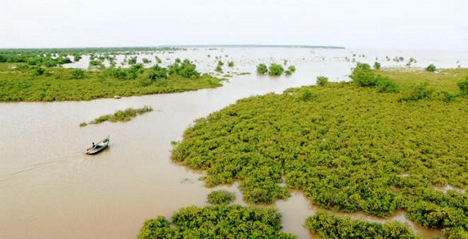 Làm giàu nhờ Vườn Quốc gia Xuân Thủy