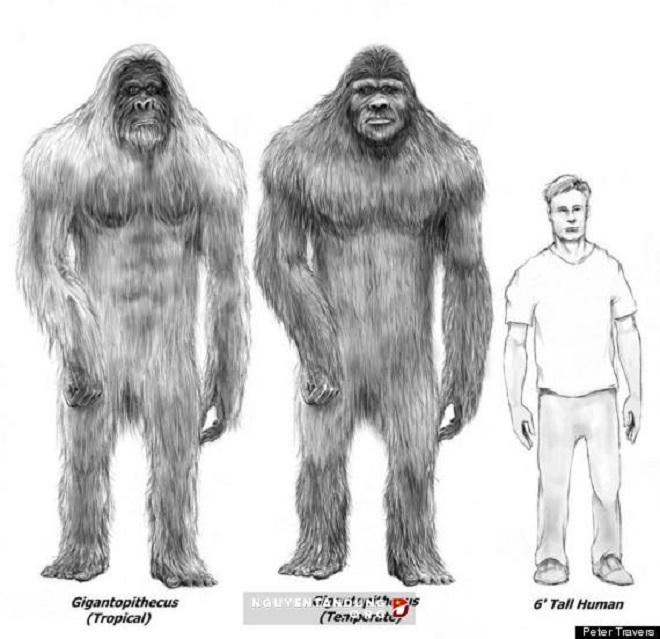 Những bất thường chưa có lời giải ở vùng đất bí ẩn của Mỹ