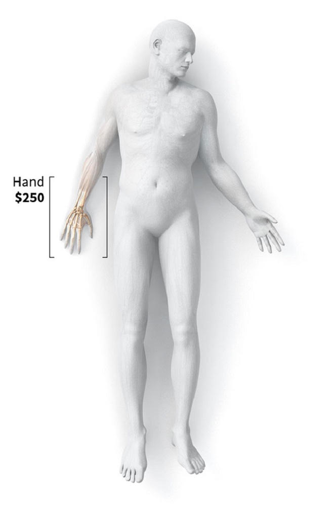 Điều tra đường dây mua bán bộ phận cơ thể người chết: Thị trường “chợ đen” sôi động trong khi trường Y thiếu xác