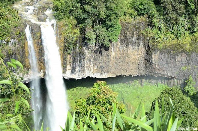 Người Mạ giữ rừng Tà Đùng bằng cả trái tim