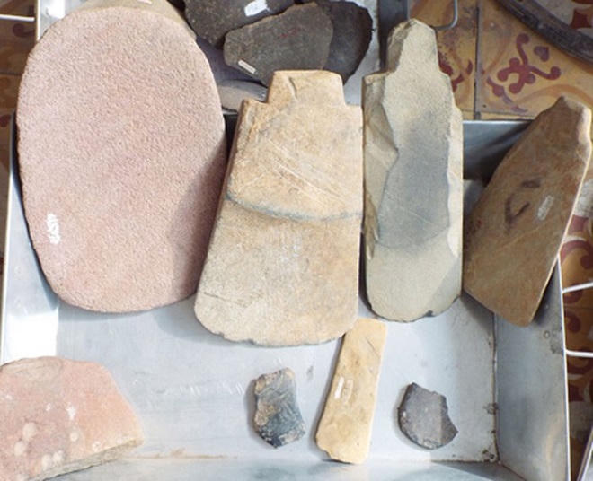 Văn hóa Hòa Bình- cái nôi nền nông nghiệp người Việt cổ