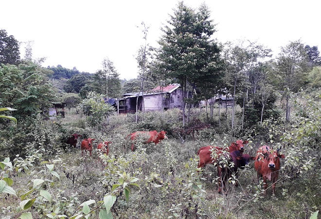 “Khu du lịch Làng Việt” tại Thừa Thiên – Huế: Dự án trăm tỷ nhiều năm “đắp chiếu”  