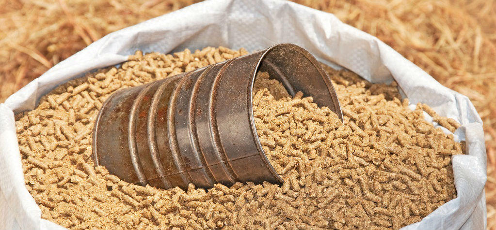 Mánh khóe của trưởng phòng kinh doanh “ăn” hai ngàn tấn cám heo