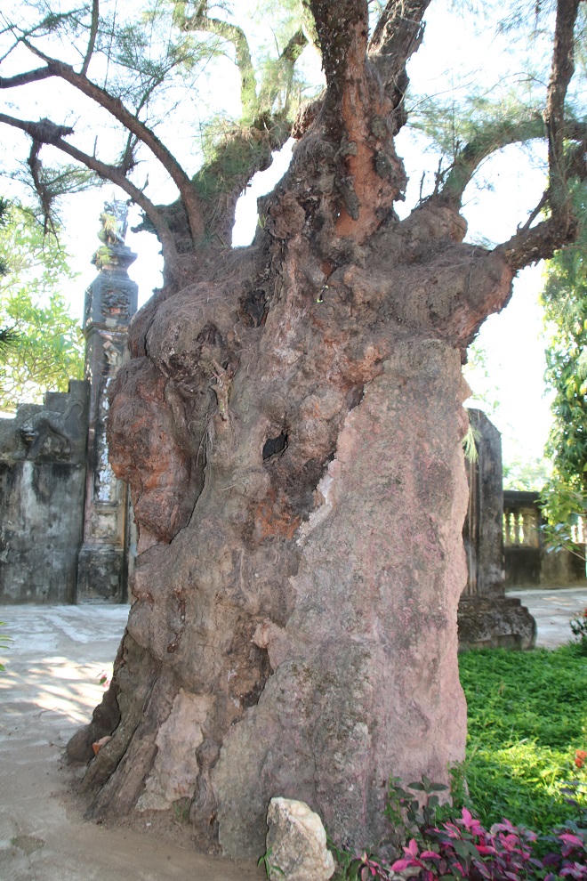 Oan tình của sư trụ trì ngôi chùa nổi tiếng miền Trung